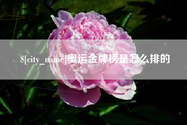 文山奥运金牌榜是怎么排的
