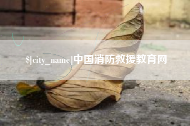 文山中国消防救援教育网