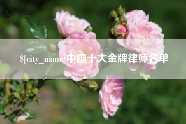 文山中国十大金牌律师名单