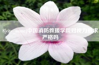 文山中国消防救援学院对视力要求严格吗