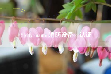 文山消防设备ccc认证