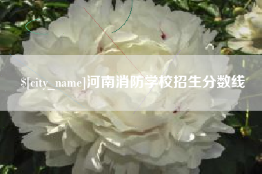 文山河南消防学校招生分数线