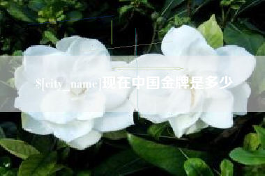 文山现在中国金牌是多少