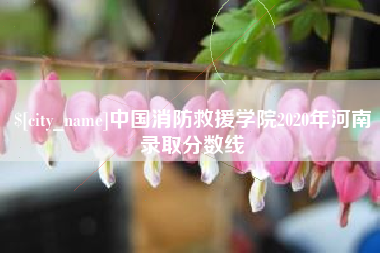 文山中国消防救援学院2020年河南录取分数线