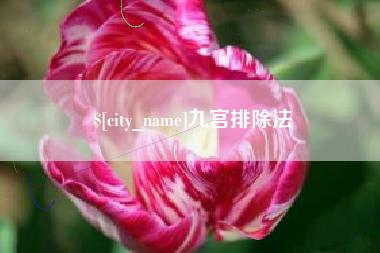 文山九宫排除法