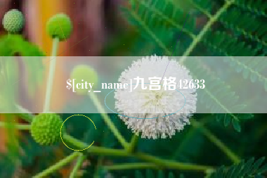 文山九宫格42633
