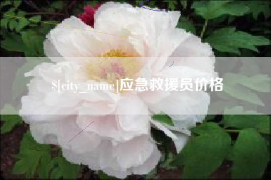 文山应急救援员价格