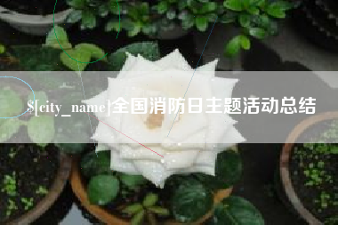 文山全国消防日主题活动总结
