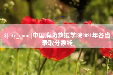 文山中国消防救援学院2021年各省录取分数线