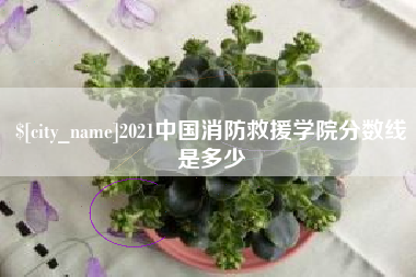 文山2021中国消防救援学院分数线是多少