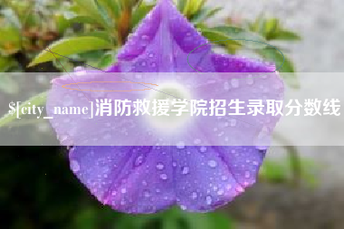 文山消防救援学院招生录取分数线