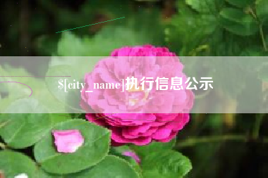 文山执行信息公示