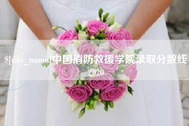 文山中国消防救援学院录取分数线2020