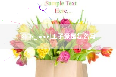 文山王子豪是怎么写