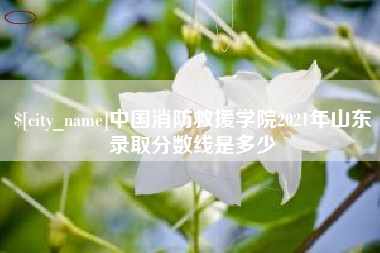 文山中国消防救援学院2021年山东录取分数线是多少