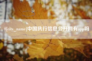 文山中国执行信息公开网有app吗