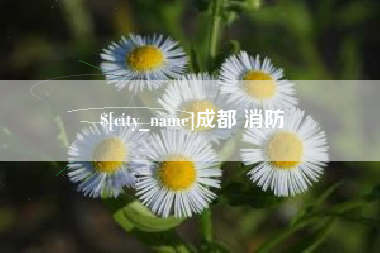 文山成都 消防