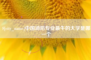 文山中国消防专业最牛的大学是哪一个
