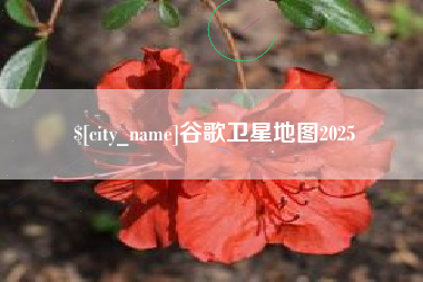 文山谷歌卫星地图2025