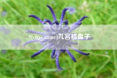 文山九宫格盘子