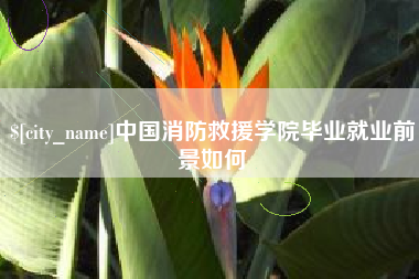 文山中国消防救援学院毕业就业前景如何