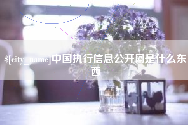 文山中国执行信息公开网是什么东西