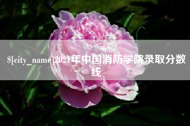 文山2021年中国消防学院录取分数线