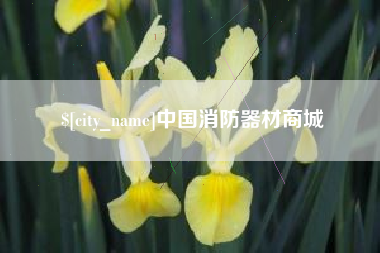 文山中国消防器材商城