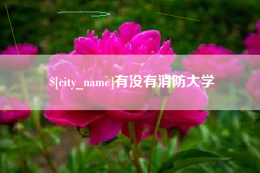文山有没有消防大学