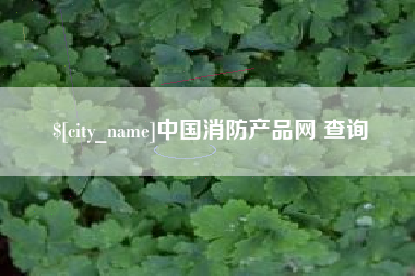 文山中国消防产品网 查询
