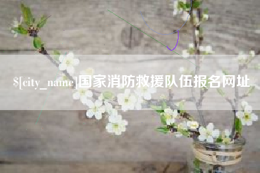 文山国家消防救援队伍报名网址