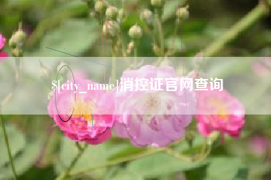 文山消控证官网查询
