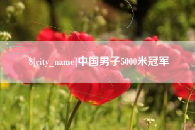 文山中国男子5000米冠军
