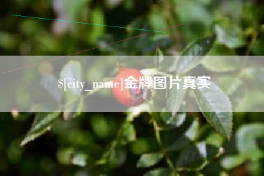 文山金牌图片真实