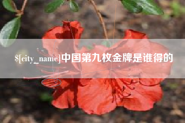 文山中国第九枚金牌是谁得的