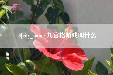 文山九宫格游戏叫什么