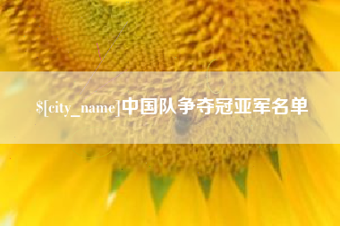 文山中国队争夺冠亚军名单