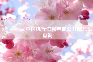 文山中国执行信息查询公开网怎么查询
