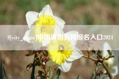 文山中国消防官网报名入口2024