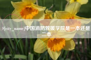 文山中国消防救援学院是一本还是二本