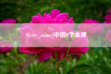文山中国9个金牌