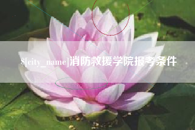 文山消防救援学院报考条件