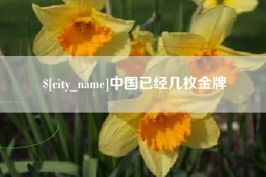 文山中国已经几枚金牌