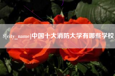 文山中国十大消防大学有哪些学校