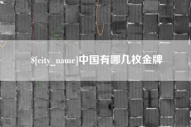 文山中国有哪几枚金牌
