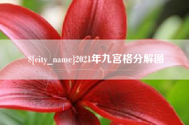 文山2021年九宫格分解图