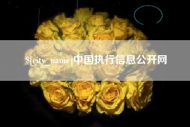 文山中国执行信息公开网