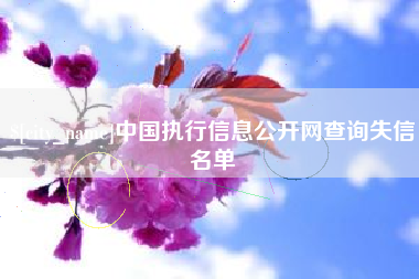 文山中国执行信息公开网查询失信名单