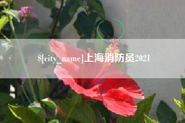 文山上海消防员2021