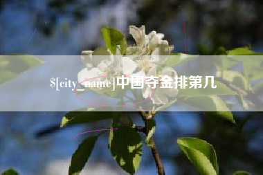 文山中国夺金排第几